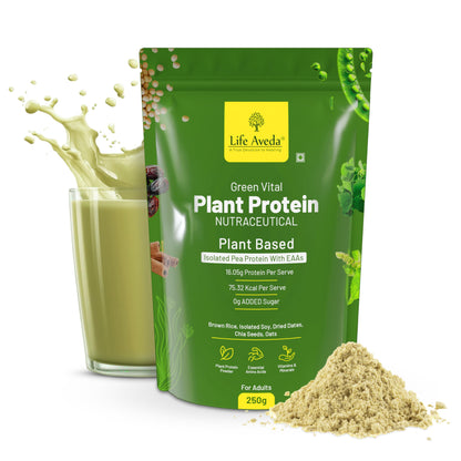 Plant Protein Powder