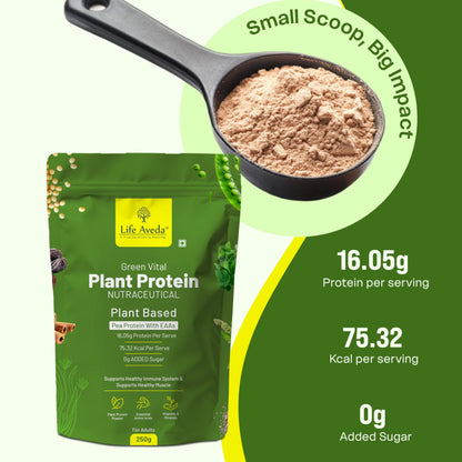 Plant Protein Powder