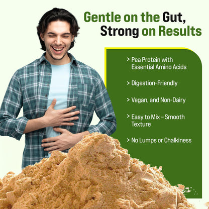 Plant Protein Powder