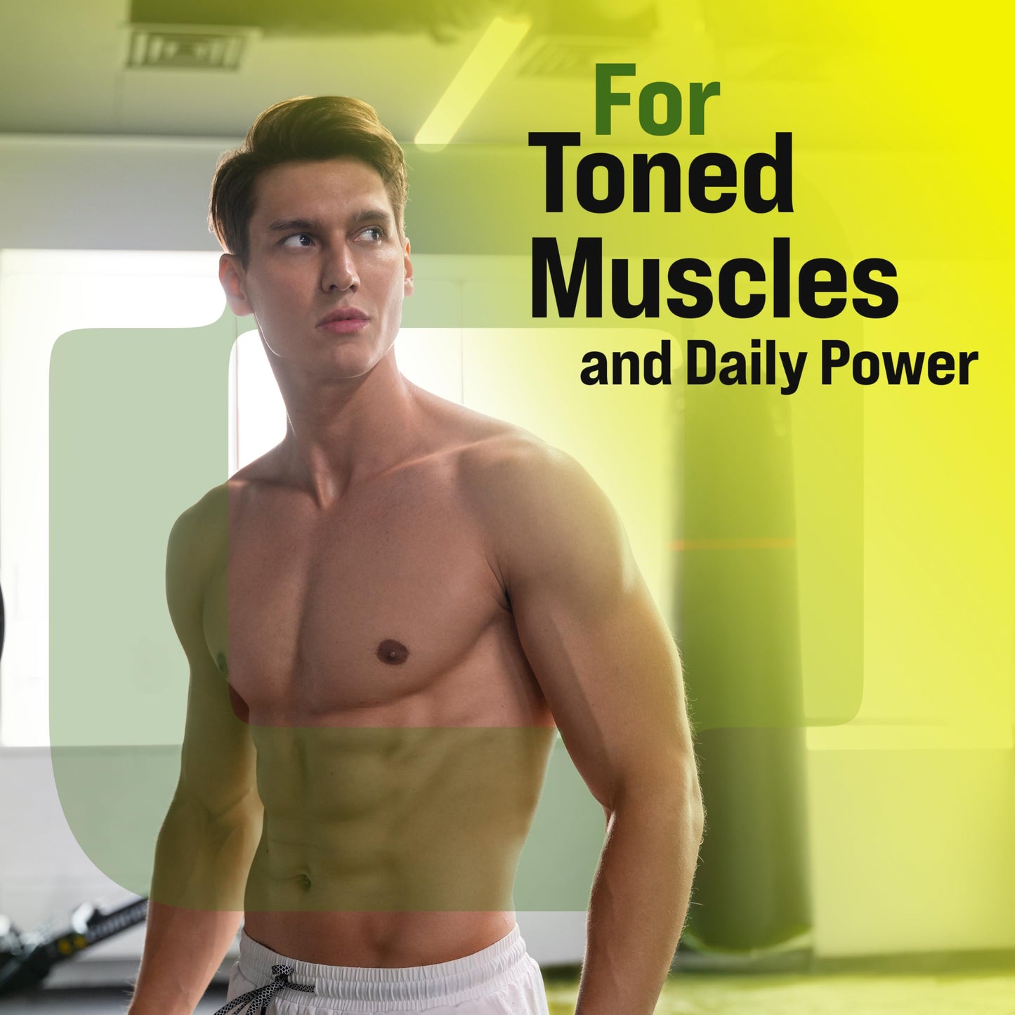 Plant Protein Powder