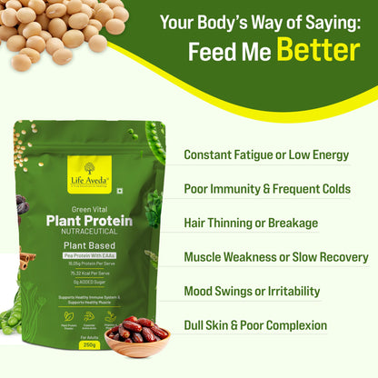 Plant Protein Powder