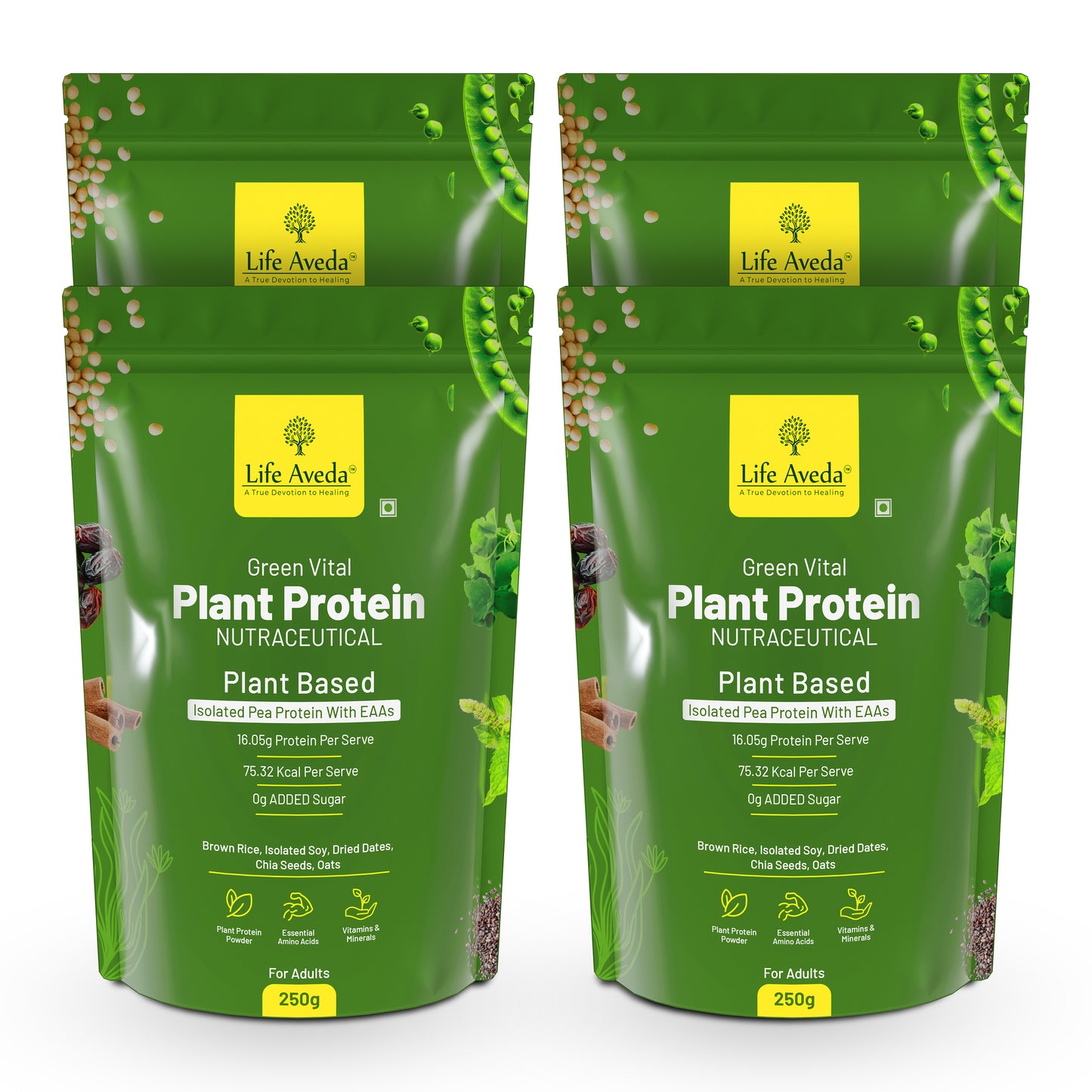 Plant Protein Powder