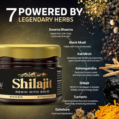 Shilajit Resin With 24K Gold Dust