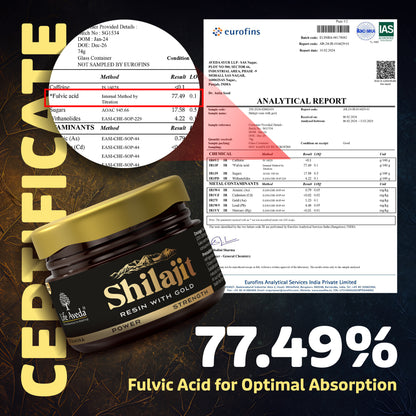 Shilajit Resin With 24K Gold Dust