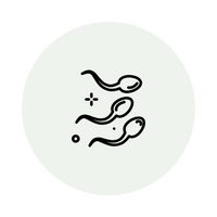 Improve the Quality & Quantity of Semen*